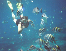 poissonS