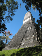 tikal