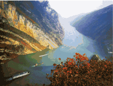 Yangzi