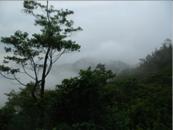 Nuages