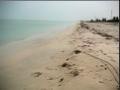 Sabancuy_fonz_beach2