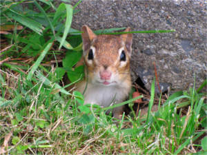 stacks_image_FCA85374-6956-4F44-936D-3E056EF0267B