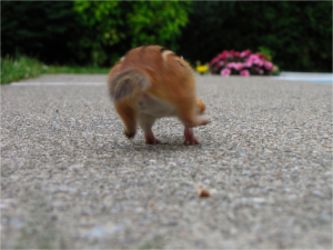 stacks_image_868BAB20-1885-4E2F-81BB-AD5E415ABC11