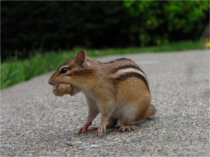 stacks_image_9D8AB13B-D210-4FBB-B049-ED1D4975A09D