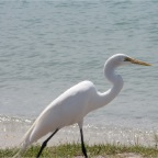 IMG_2279.JPG